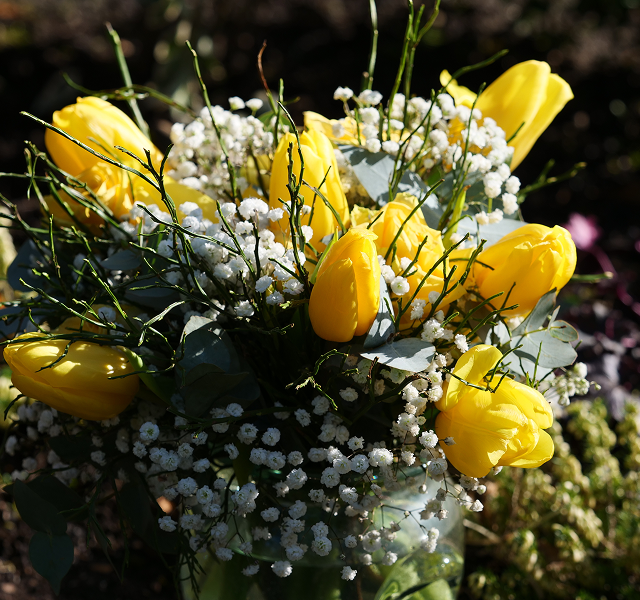 flowers